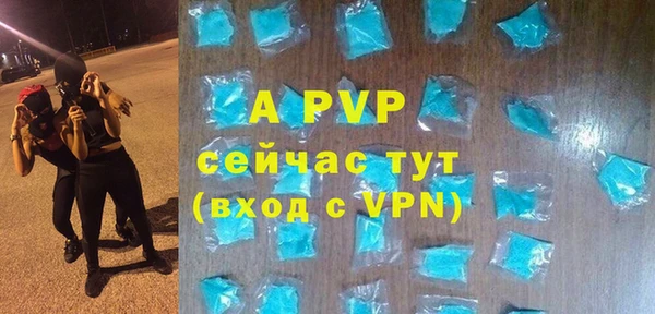 дживик Елабуга