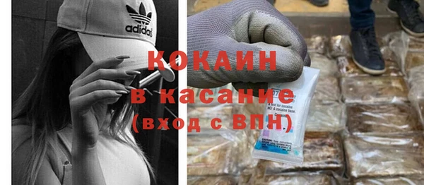 хмурый Ельня