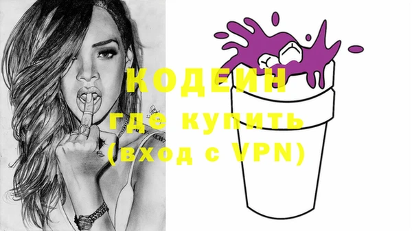 хмурый Ельня